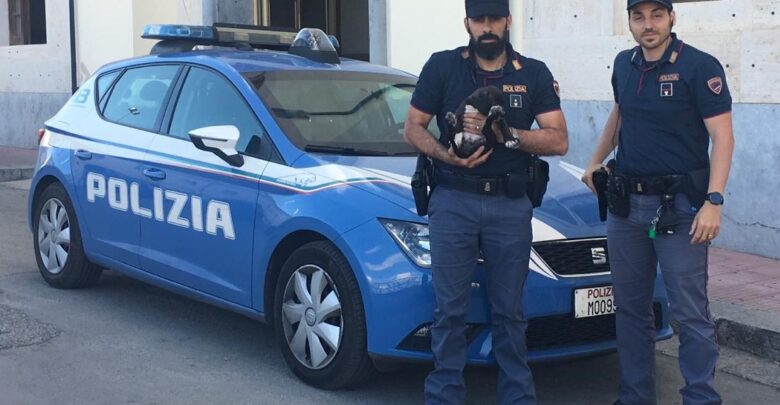 poliziotti con cucciolo - rumeno