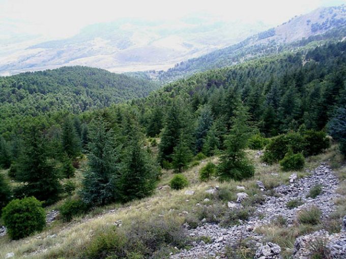 riserva naturale egionale Monte Carcaci