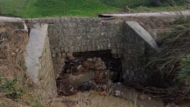 Regione interviene per ripristinare ponte crollato sulla Sp 117 nel palermitano