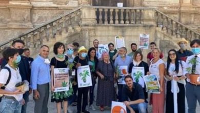 Approvata dal Consiglio Comunale di Palermo la mozione sulla cannabis del comitato “Esistono i Diritti “.