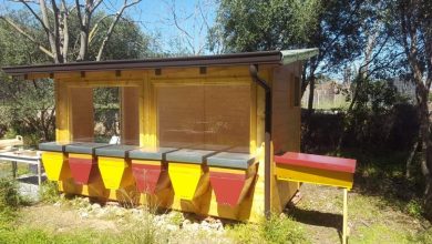 Ambiente. Palermo: nell’area confiscata di Terra Franca nasce il primo apiario olistico della città, inaugurazione sabato 23 aprile