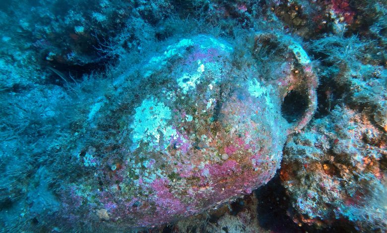 Soprintendenza del Mare: nuovi ritrovamenti in mare a Linosa e Pozzallo