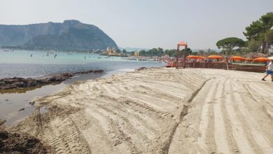 Rimozione della posidonia spiaggiata di Mondello e Sferracavallo