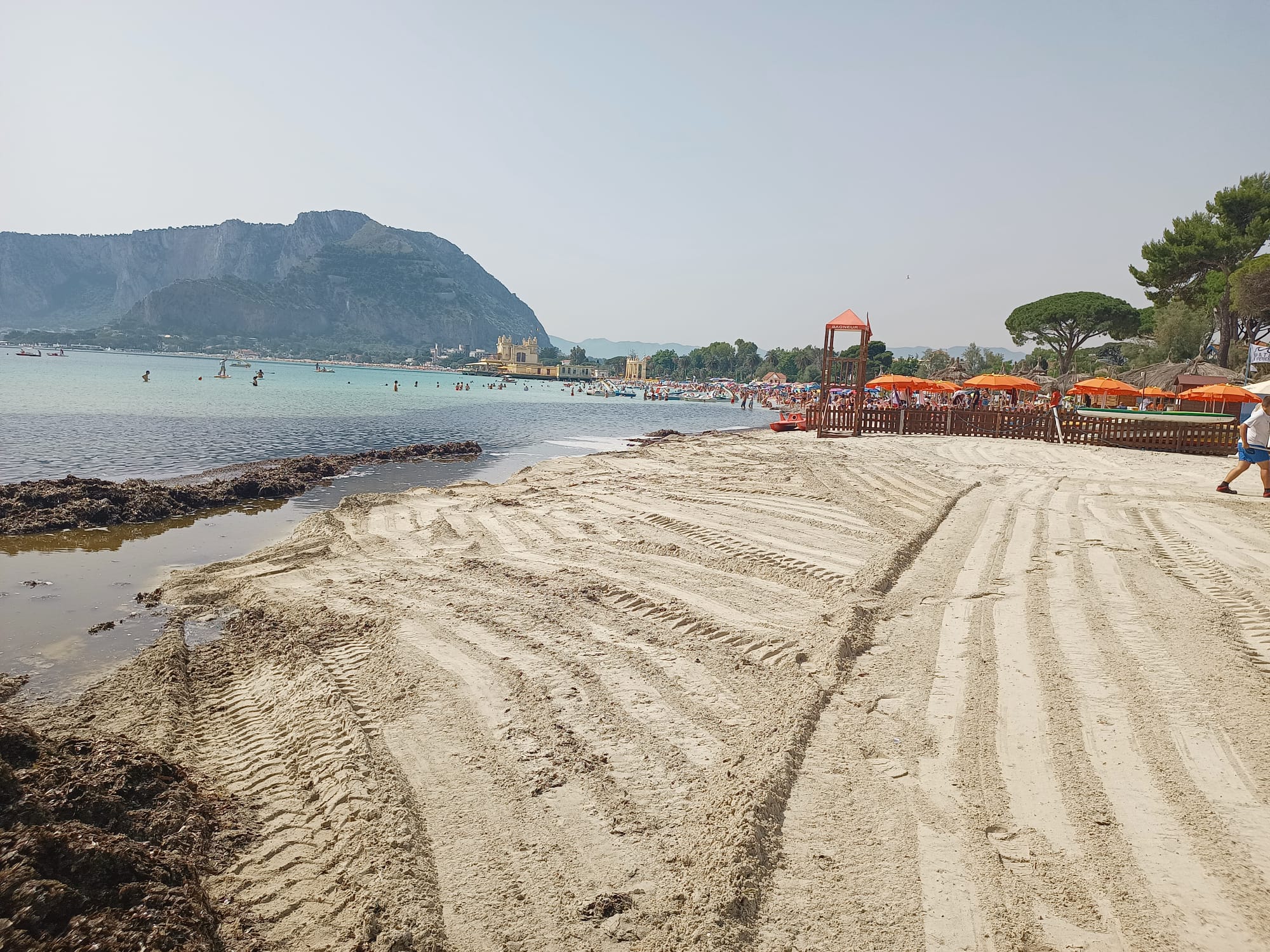 Rimozione della posidonia spiaggiata di Mondello e Sferracavallo