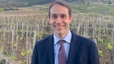 Un nuovo capitolo per l'enologia siciliana: dopo 30 anni, un Piano vitivinicolo regionale in arrivo