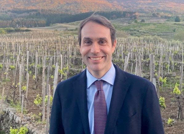 Un nuovo capitolo per l'enologia siciliana: dopo 30 anni, un Piano vitivinicolo regionale in arrivo