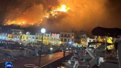 "Emergenza incendi in Sicilia: L'assessore Sammartino chiama a interventi strutturali per proteggere l'agricoltura dai cambiamenti climatici"