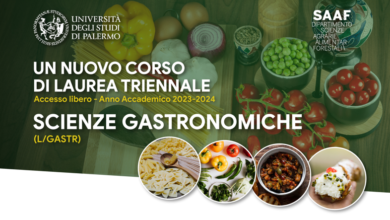 Laurea in Scienze Gastronomiche presso l'Università di Palermo: Esplorando la Cultura del Cibo attraverso l'Educazione e la Formazione